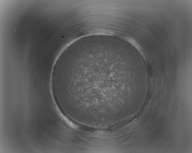 X0000072521379200607211412