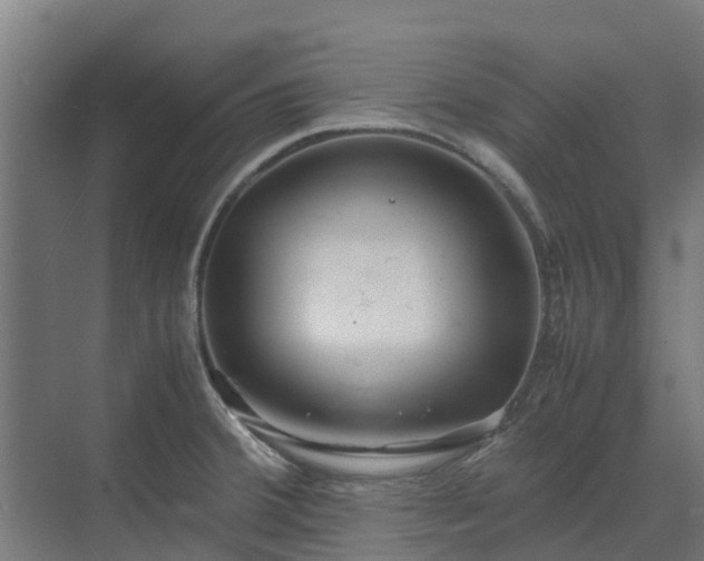 X0000072521380200607211412