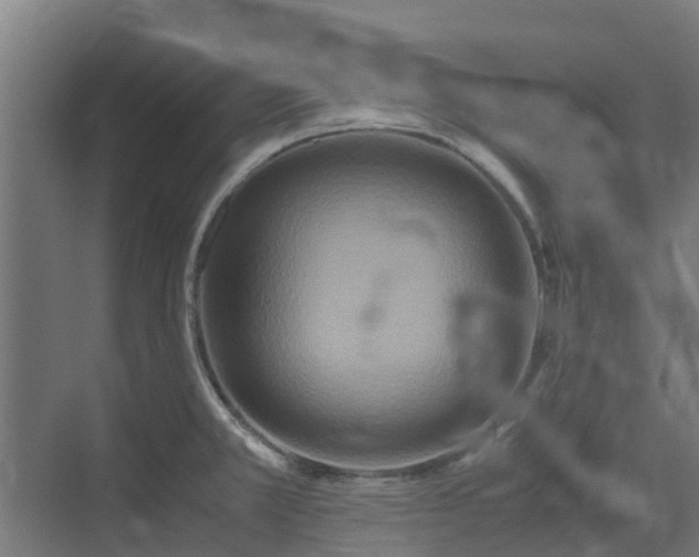 X0000072521381200607211412