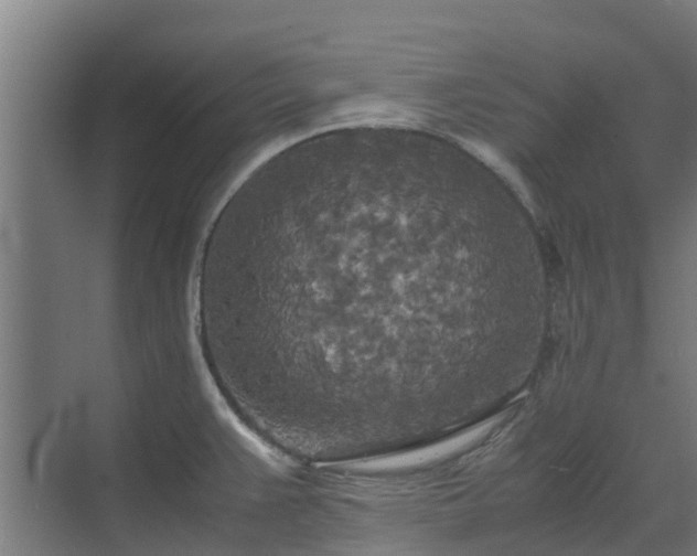 X0000072521383200607211412