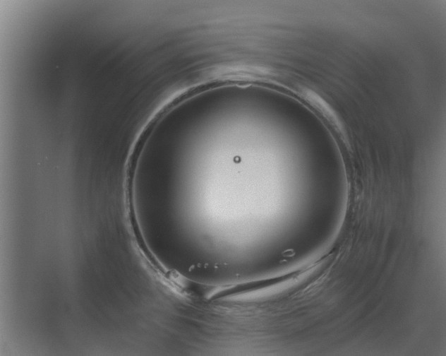 X0000072521384200607211412