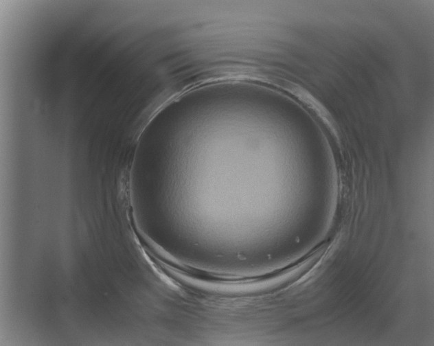 X0000072521385200607211412