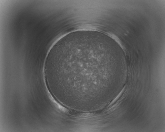 X0000072521387200607211412