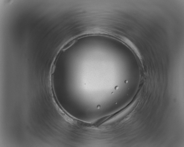 X0000072521388200607211412