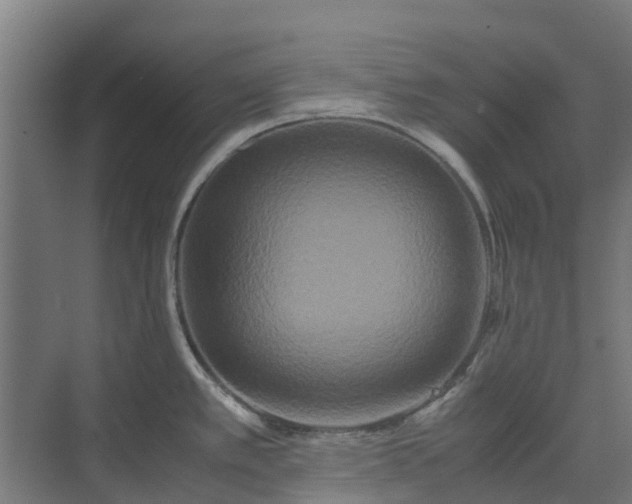 X0000072521389200607211412