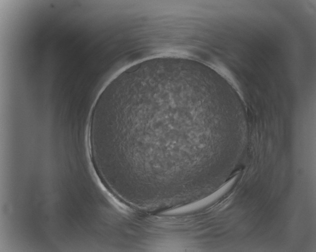 X0000072521391200607211412