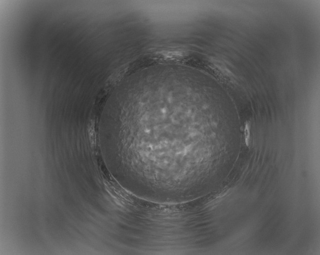 X0000072521395200607211411