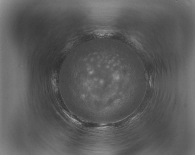 X0000072521396200607211411