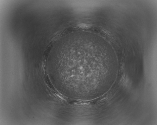 X0000072521397200607211411