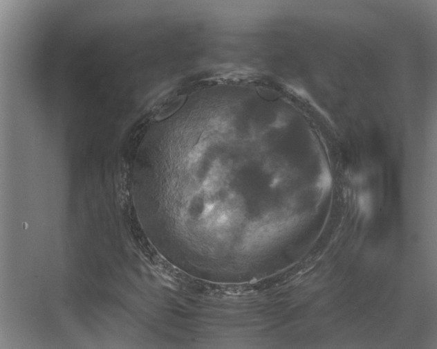 X0000072521399200607211411