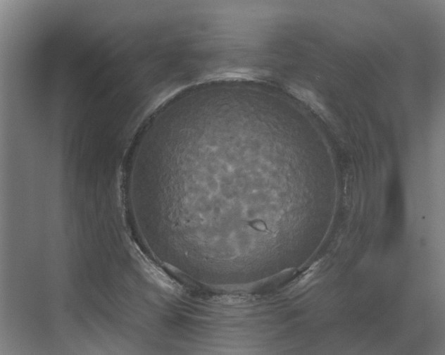 X0000072521404200607211411