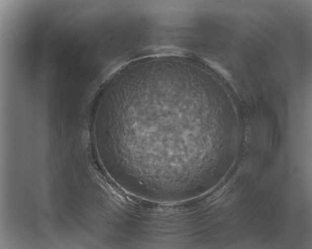 X0000072521407200607211411