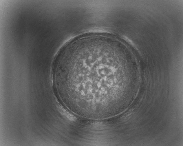 X0000072521408200607211411