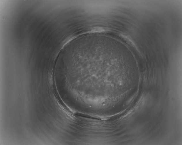 X0000072521409200607211411