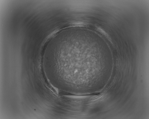 X0000072521411200607211411