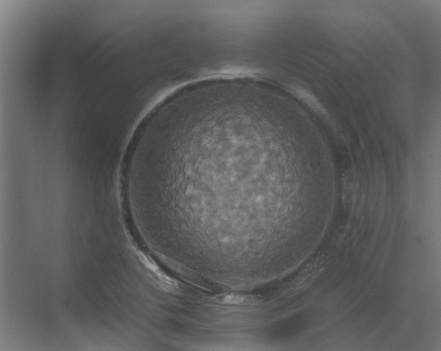 X0000072521412200607211411