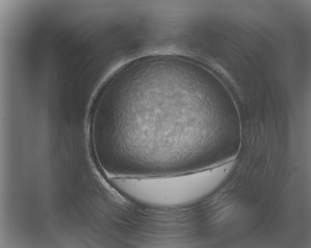 X0000072521416200607211411