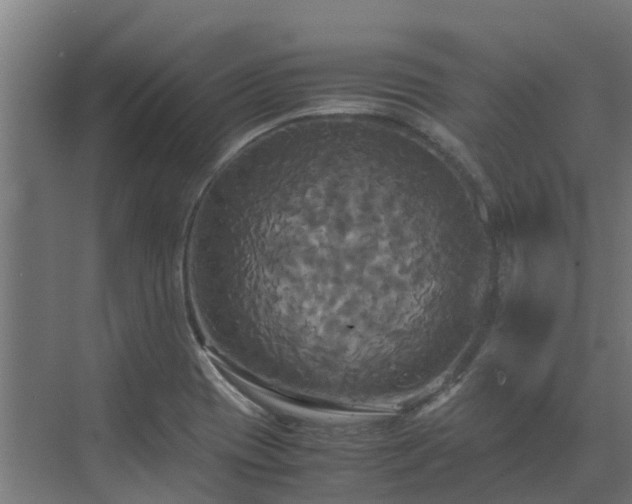 X0000072521417200607211411