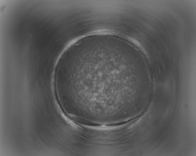 X0000072521421200607211411