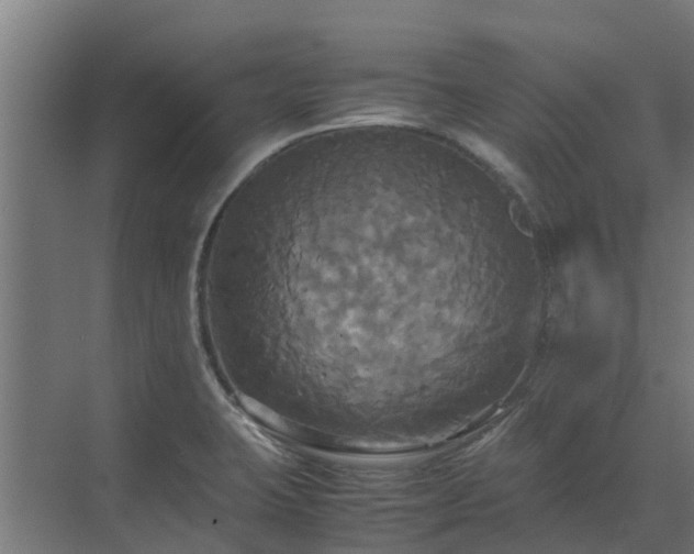 X0000072521423200607211412