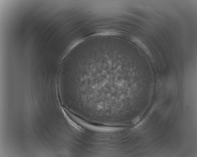 X0000072521425200607211412