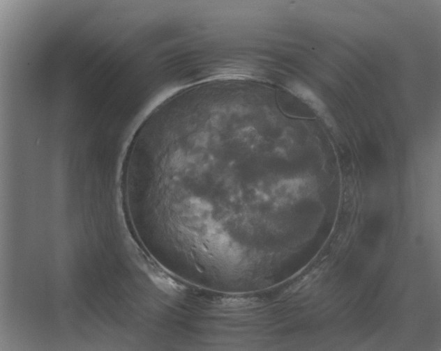 X0000072521427200607211412