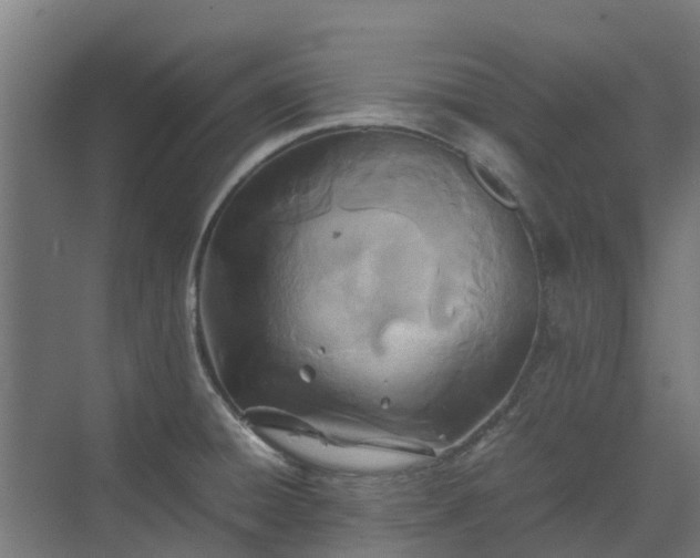 X0000072521428200607211412