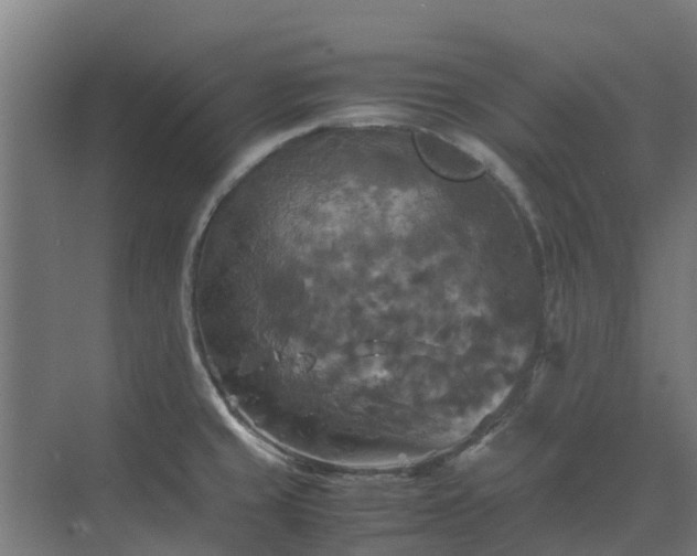 X0000072521429200607211412