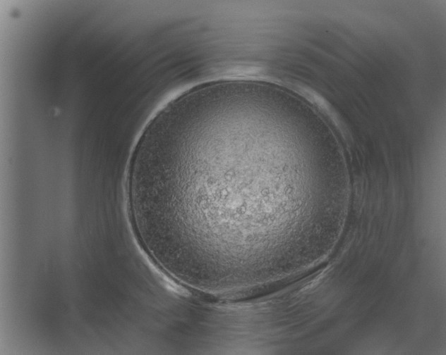 X0000072521432200607211412