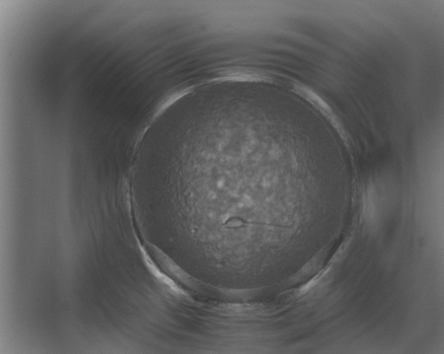 X0000072521433200607211412