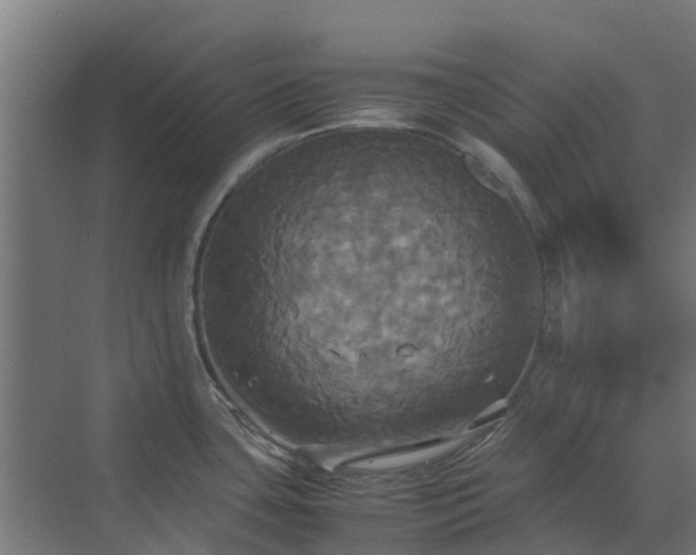 X0000072521435200607211412