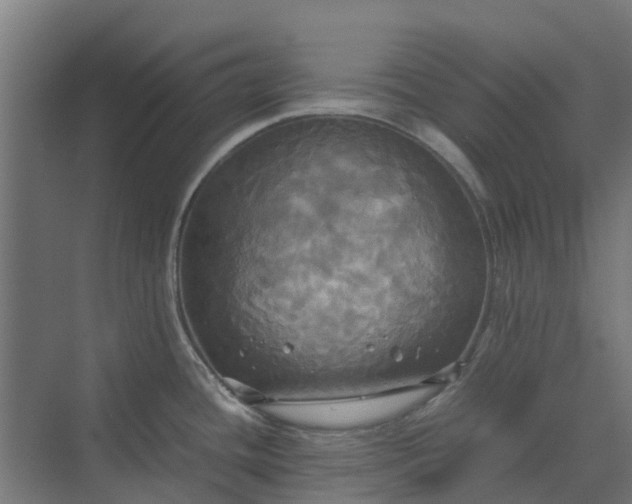 X0000072521436200607211412