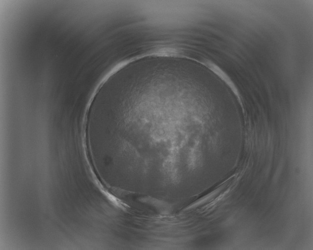 X0000072521437200607211412