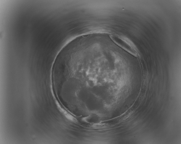 X0000072521439200607211412