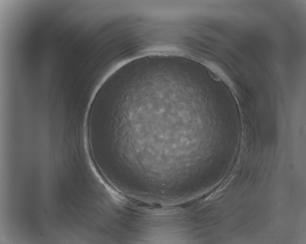 X0000072521440200607211412