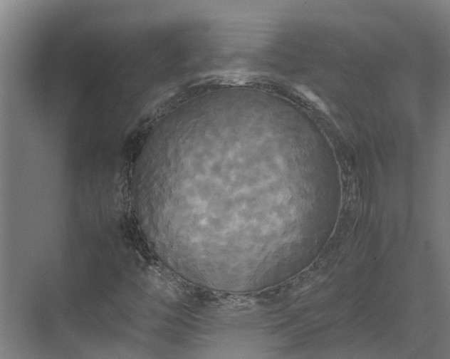 X0000072521446200607211411