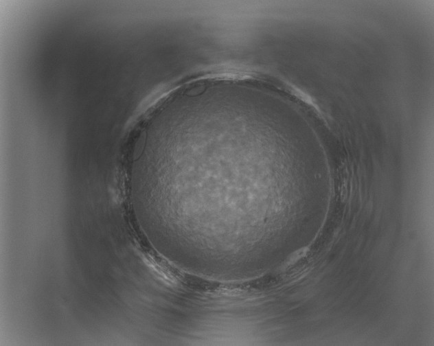 X0000072521448200607211411