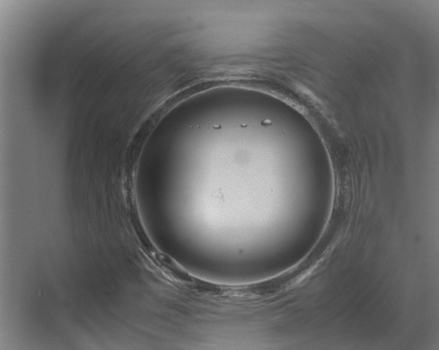 X0000072521449200607211411