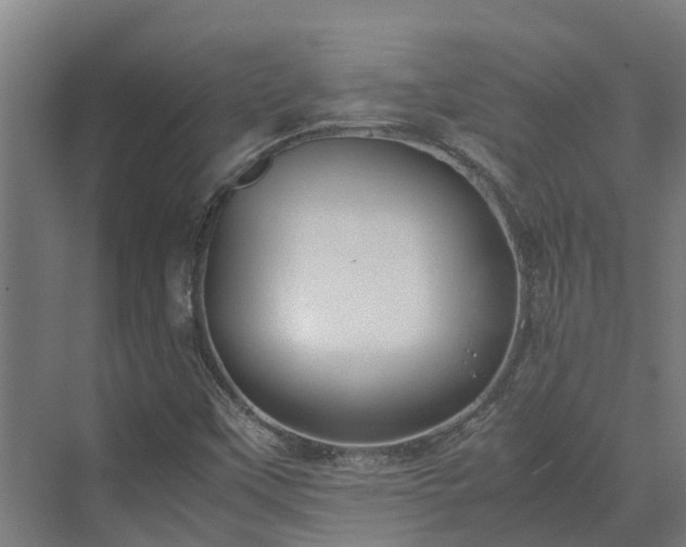 X0000072521451200607211411