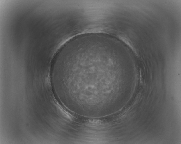 X0000072521452200607211411