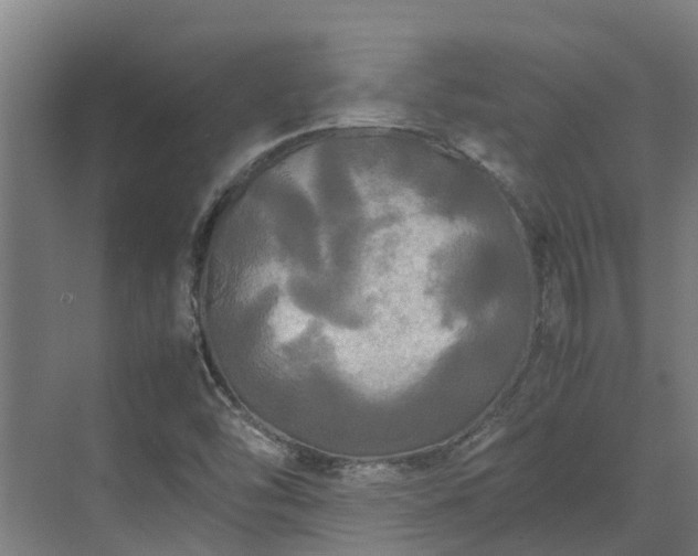 X0000072521454200607211411