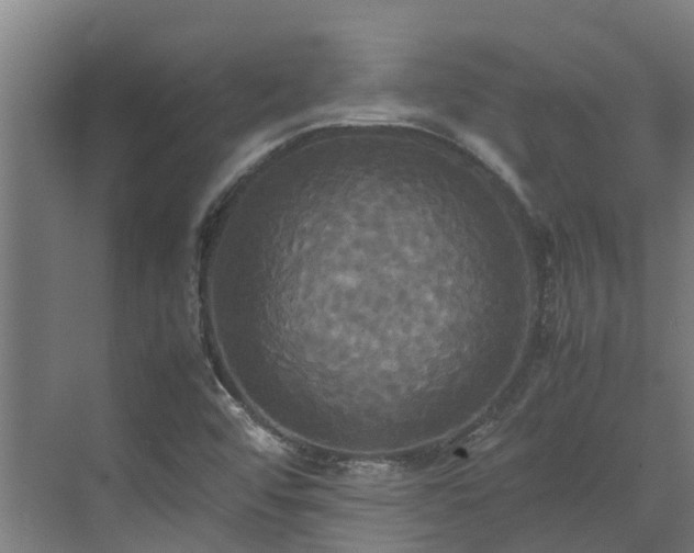 X0000072521456200607211411