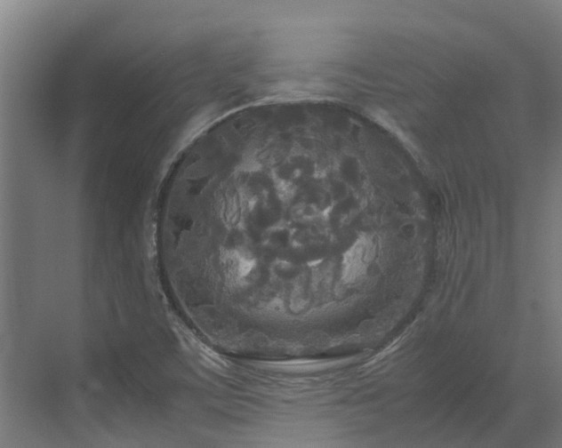 X0000072521459200607211411