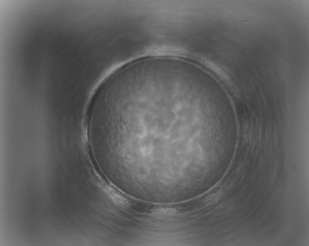 X0000072521462200607211411