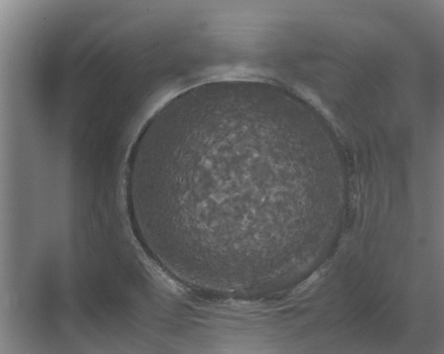 X0000072521463200607211411