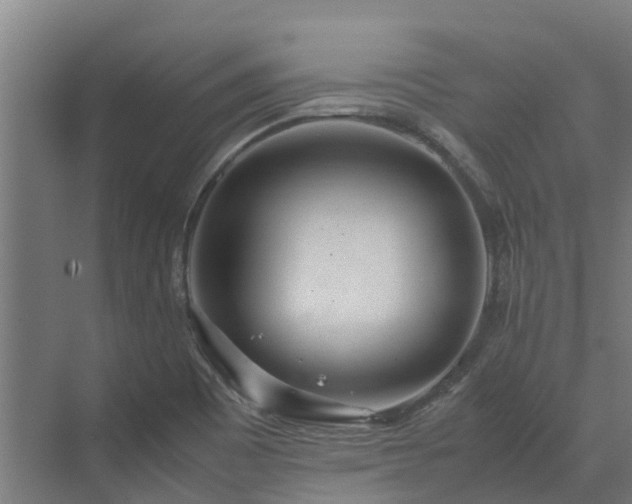 X0000072521465200607211411