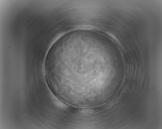 X0000072521466200607211411