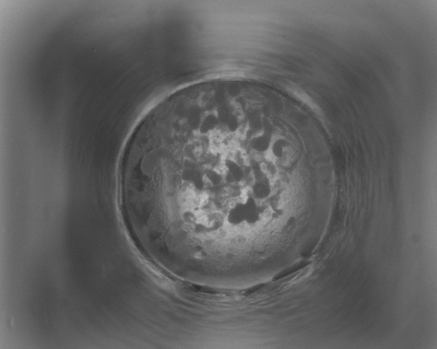 X0000072521467200607211411