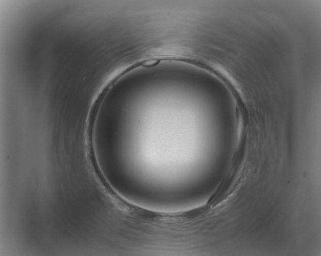 X0000072521469200607211411