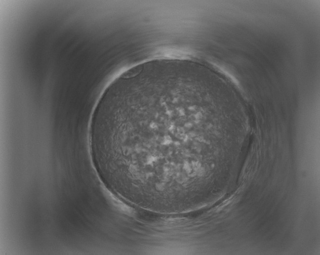 X0000072521471200607211410